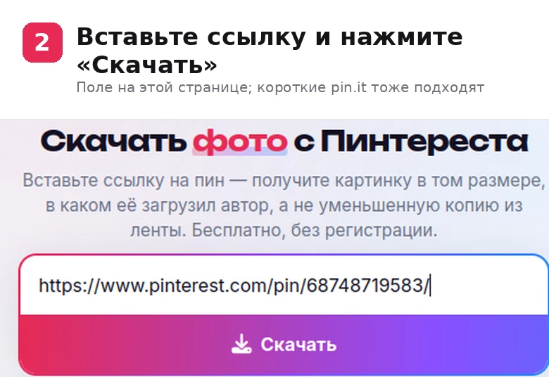 Шаг 2: ссылка на пин вставлена в поле на странице Pingraber, кнопка «Скачать»