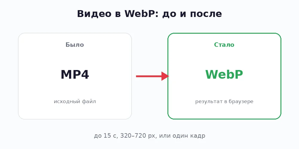 Видео в WebP